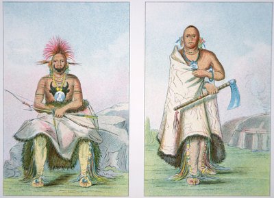 Búfalo Toro y el Gran Alce de George Catlin