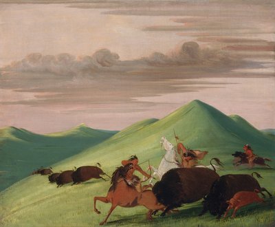 Persecución de búfalos, toro protegiendo a una vaca y su ternero de George Catlin