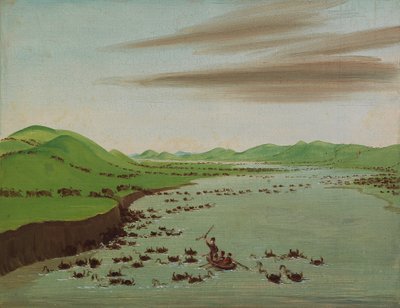 Manadas de búfalos cruzando el Alto Missouri de George Catlin