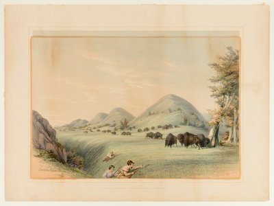 Buffalo Hunt; Approaching in a Ravine--no. 11 de George Catlin