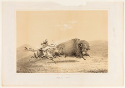 Buffalo Hunt, Chase--no. 5 de George Catlin