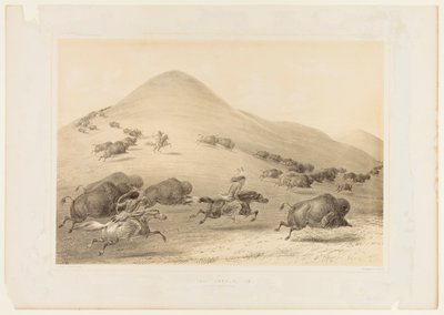 Buffalo Hunt, Chase--no. 6 de George Catlin