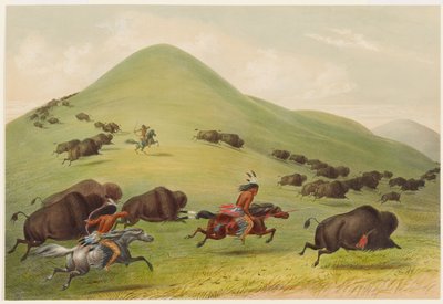 Caza de búfalos: persecución de George Catlin