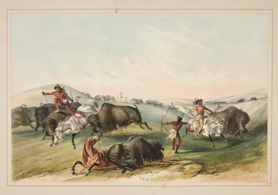 Caza de búfalos, Chase, pl. 7 de la cartera de indios norteamericanos de George Catlin