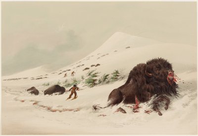  de George Catlin