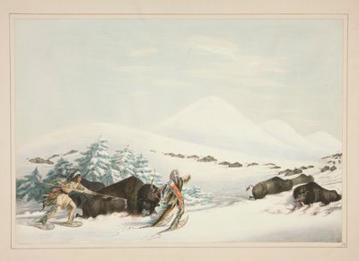 Caza de búfalos, sobre raquetas de nieve, pl. 15 de la cartera de indios norteamericanos de George Catlin