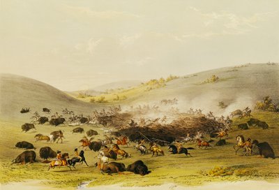 Caza de búfalos, rodeo, c.1832 de George Catlin