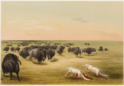  de George Catlin