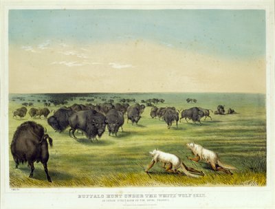 Caza de bisontes bajo la piel del lobo blanco de George Catlin