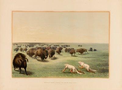 Buffalo Hunt, under the White Wolfskin--no. 13 de George Catlin