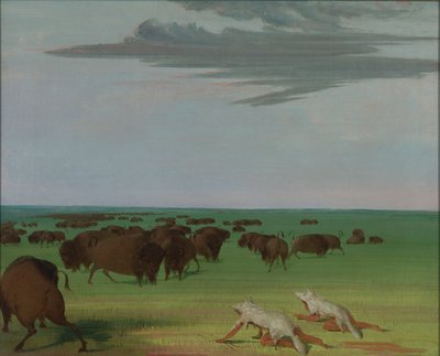 Caza del búfalo bajo la máscara de piel de lobo de George Catlin