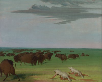 Caza de búfalos con máscara de piel de lobo de George Catlin