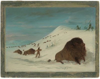Lanceo de búfalos en los ventisqueros - Sioux de George Catlin