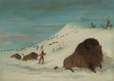 Lanceo de búfalos en los ventisqueros - Sioux de George Catlin