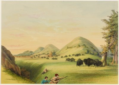 Caza de búfalos, aproximación en un barranco de George Catlin