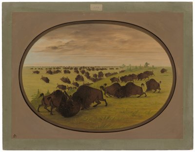 Toros peleando de George Catlin