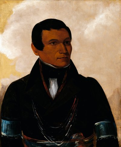 Cú-enfermo, Hijo del Jefe de George Catlin