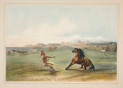 Atrapar al caballo salvaje, pl. 4 de la cartera de indios norteamericanos de George Catlin