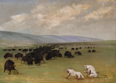 Catlin y su guía indio se acercan al búfalo bajo pieles de lobo blanco de George Catlin