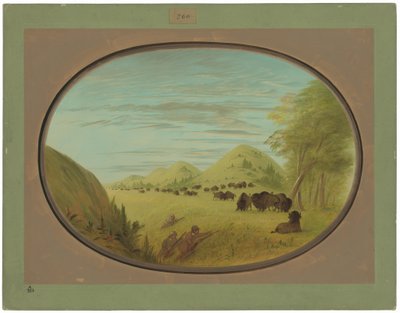  de George Catlin