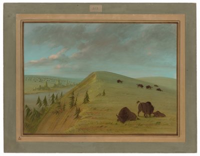 Acantilados de cedro de George Catlin