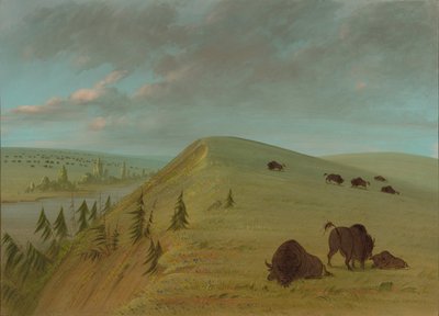 Cedar Bluffs, 1861-1869 de George Catlin