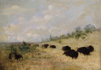 Alces y búfalos pastando entre flores de pradera, Texas de George Catlin