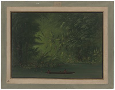Entrada a una laguna, orilla del Amazonas de George Catlin