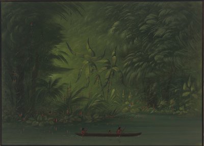 Entrada a una laguna, orilla del Amazonas, 1854-1869 de George Catlin