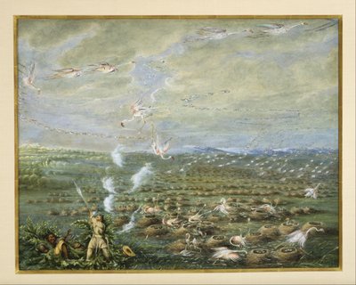 Caza de flamencos en América del Sur de George Catlin