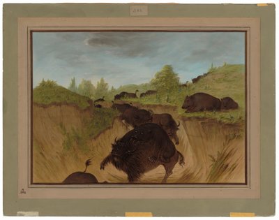 Osos grizzly atacando búfalos de George Catlin