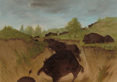 Osos grizzly atacando búfalos de George Catlin
