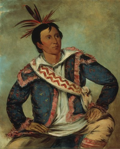 Há-tchoo-túc-knee, tortuga mordedora, mestiza de George Catlin