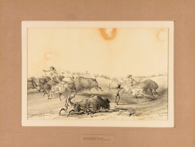 Indios cazando búfalos--no. 7 de George Catlin