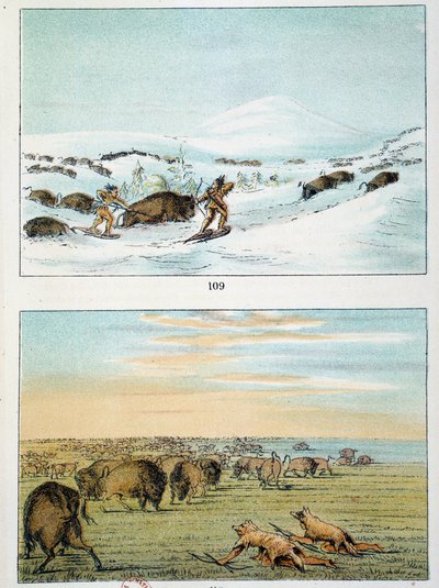 Indios de América. Caza de bisontes: los indios usan raquetas de nieve para cazar en invierno y se cubren con piel de lobo en verano. Ilustración de George Catlin (1794-1872). de George Catlin