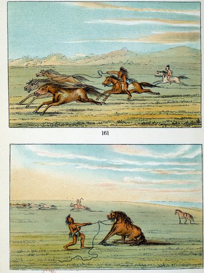 Indios de América: cómo atrapar caballos salvajes. Ilustración de George Catlin de George Catlin