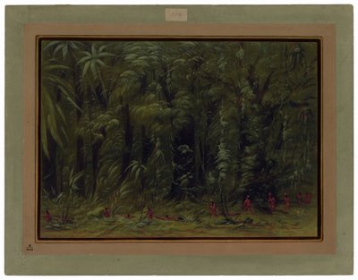 Interior de una selva amazónica - Zurumati de George Catlin