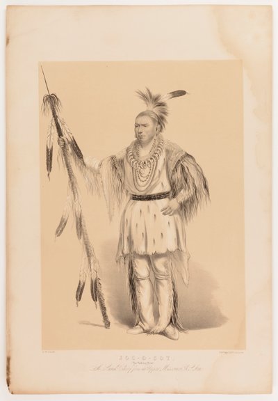 Joc-o-sot, el Oso Caminante de George Catlin