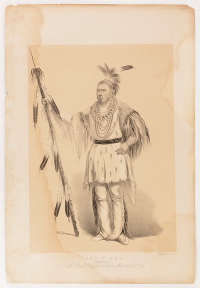 Joc-o-sot, el Oso Caminante de George Catlin