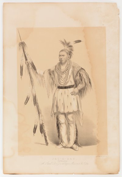 Joc-o-sot, el Oso Caminante de George Catlin