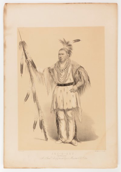 Joc-o-sot, el Oso Caminante de George Catlin