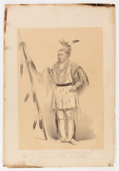 Joc-o-sot, el Oso Caminante de George Catlin