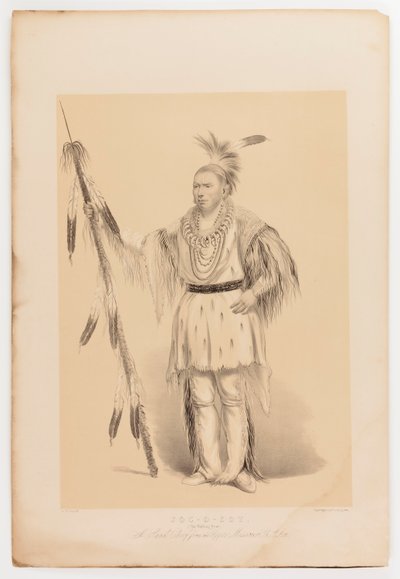 Joc-o-sot, el Oso Caminante de George Catlin