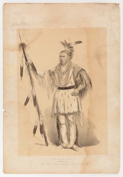 Joc-o-sot, el Oso Caminante de George Catlin