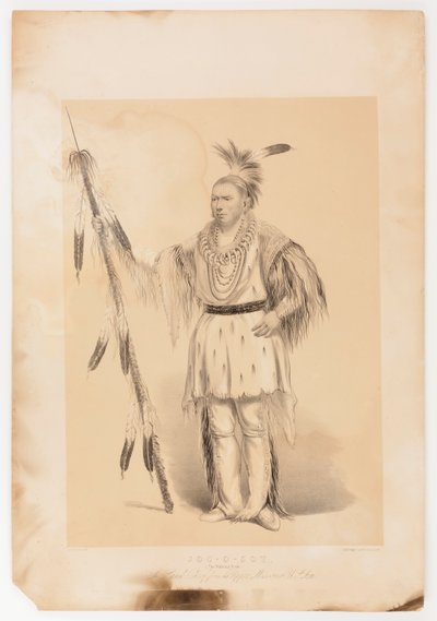 Joc-o-sot, el Oso Caminante de George Catlin