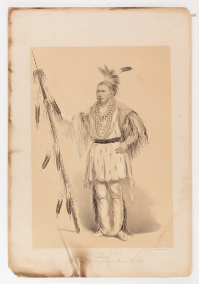 Joc-o-sot, el Oso Caminante de George Catlin
