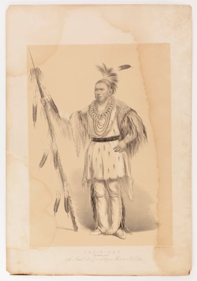 Joc-o-sot, el Oso Caminante de George Catlin