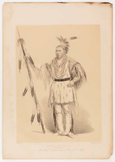 Joc-o-sot, el Oso Caminante de George Catlin