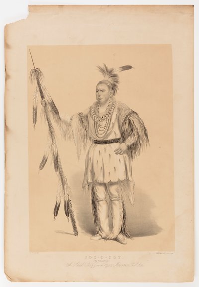 Joc-o-sot, el Oso Caminante de George Catlin