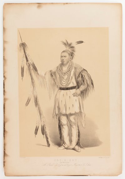 Joc-o-sot, el Oso Caminante de George Catlin